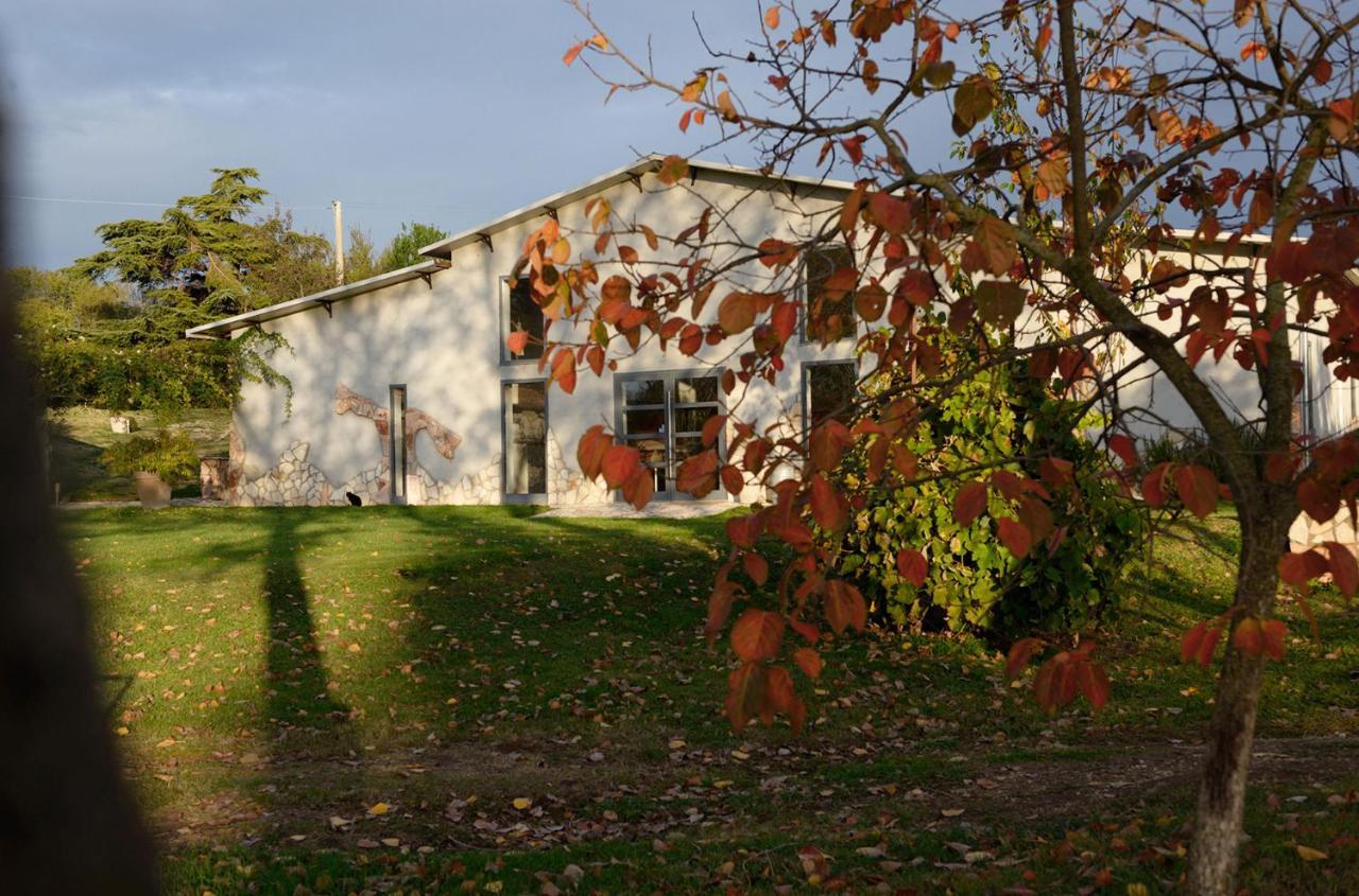 Agriturismo Arte Et Agricoltura Tuscania Exteriör bild