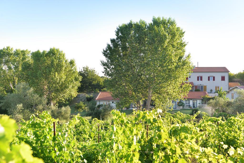 Agriturismo Arte Et Agricoltura Tuscania Exteriör bild