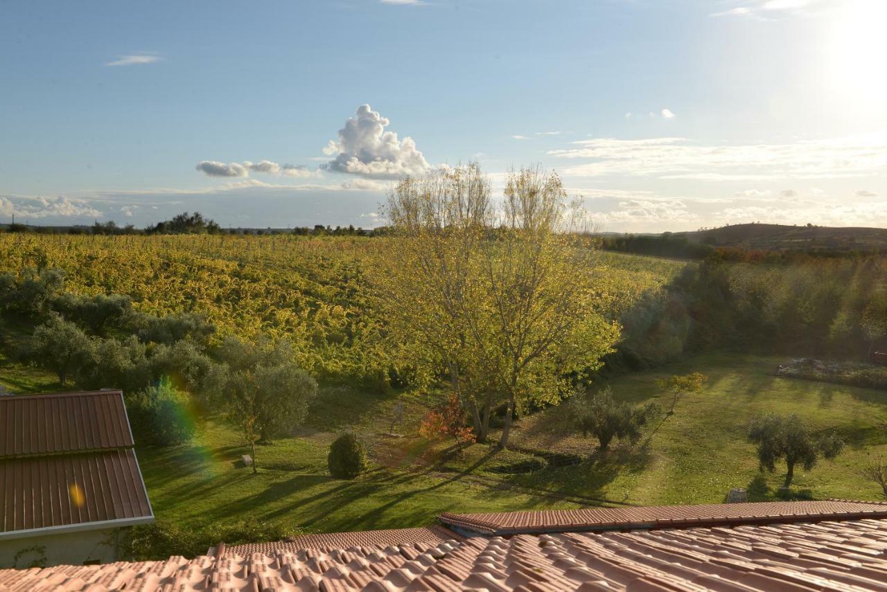 Agriturismo Arte Et Agricoltura Tuscania Exteriör bild